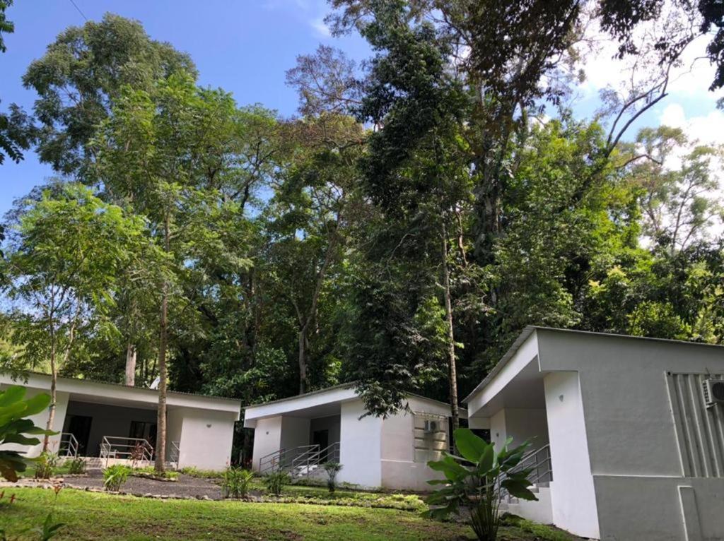 Carara Adventure Park Bed and Breakfast Quebrada Ganado Buitenkant foto